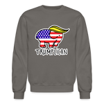 Trumplican Sweatshirt - asphalt gray